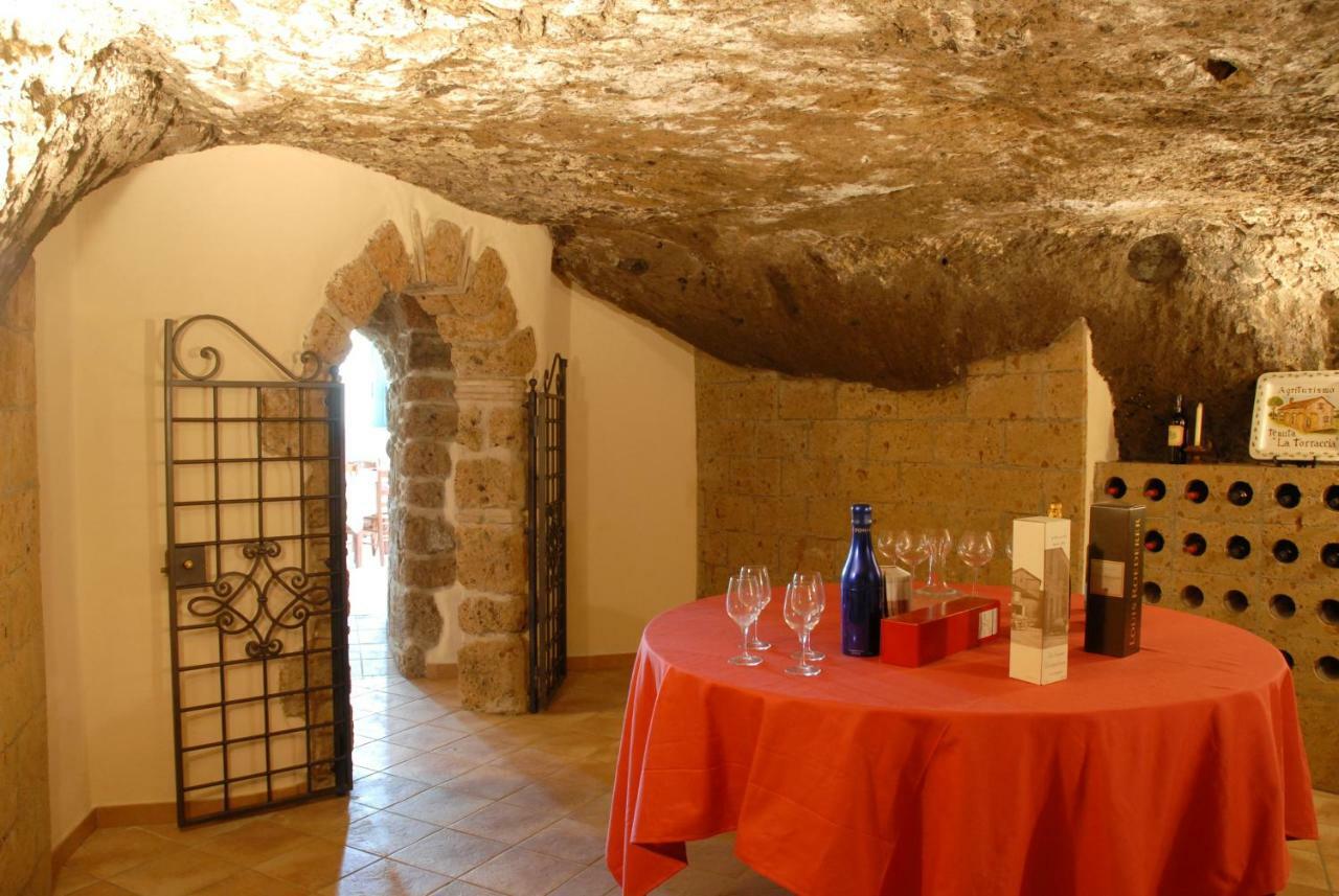 Tenuta La Torraccia * Orte
