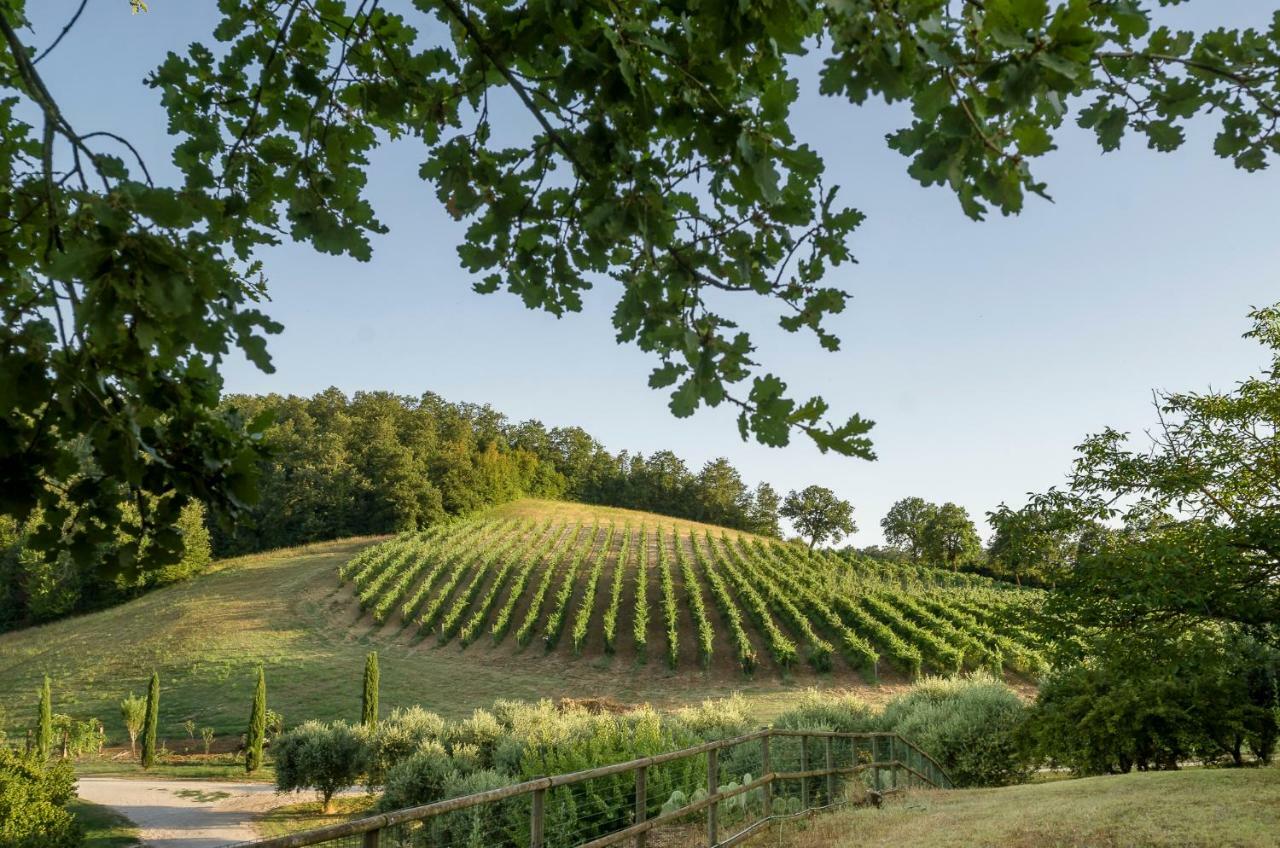 Tenuta La Torraccia *