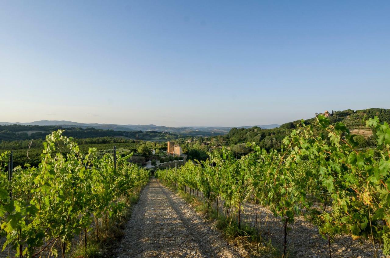 Tenuta La Torraccia Orte