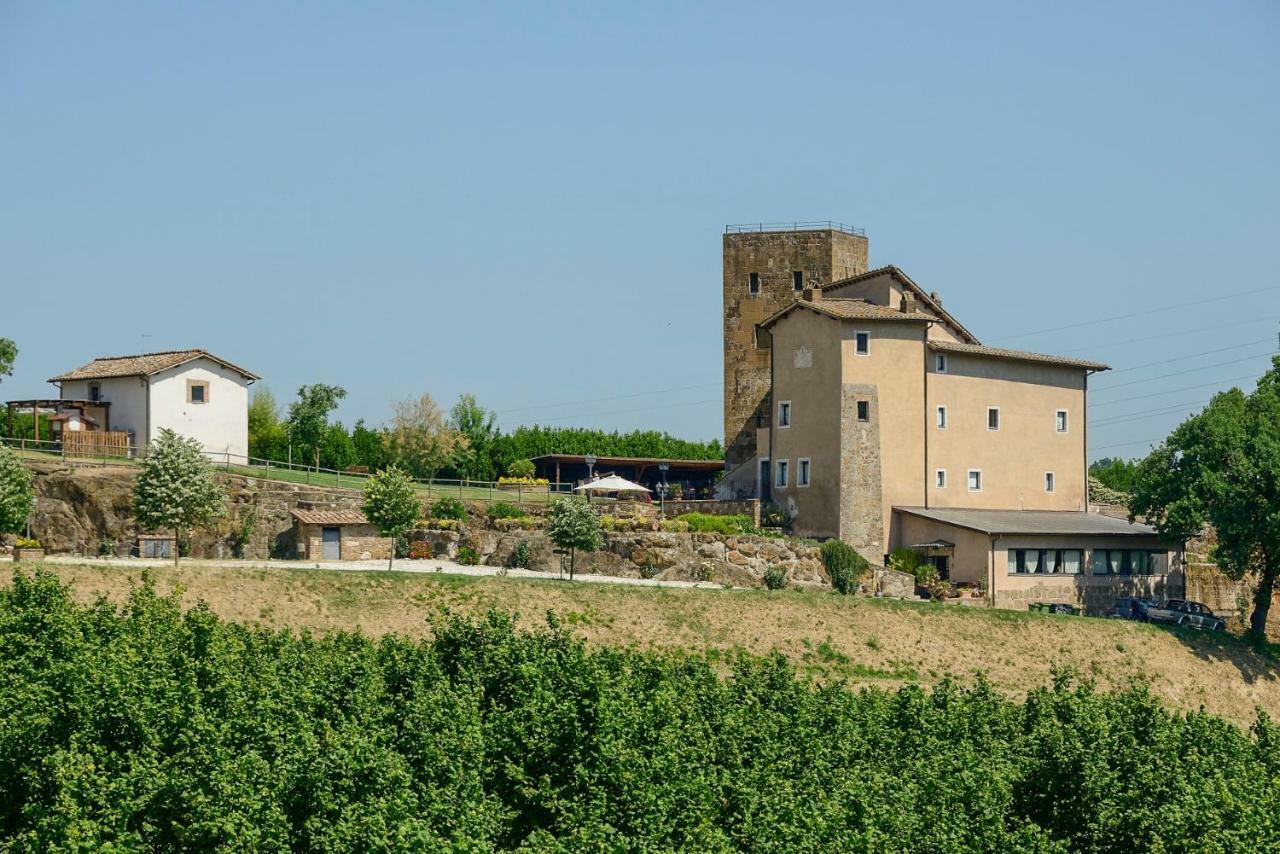 Apartment Tenuta La Torraccia Orte